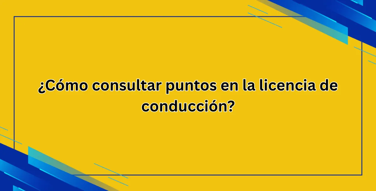 ¿Cómo consultar puntos en la licencia de conducción?