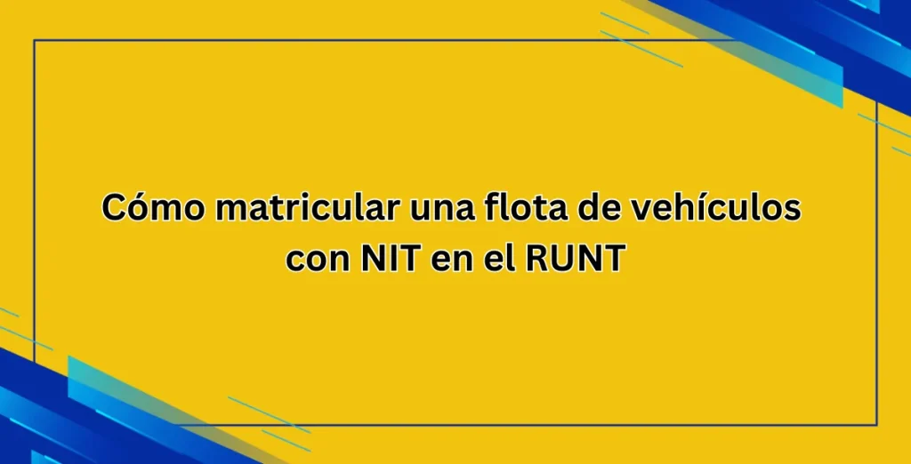 Cómo matricular una flota de vehículos con NIT en el RUNT