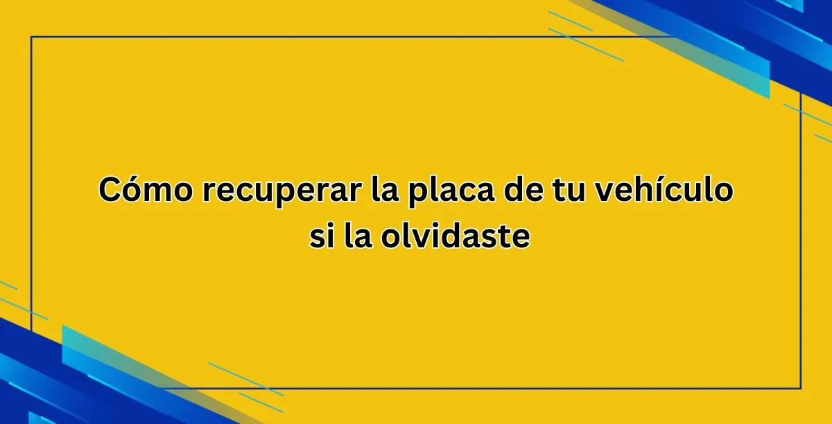 Cómo recuperar la placa de tu vehículo si la olvidaste